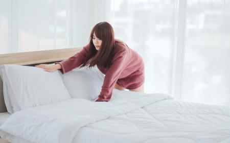 床蝨極困擾？5大家居裝修要點  教你及早預防床蝨